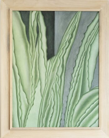 Agave Artis von Marianne Hendriks