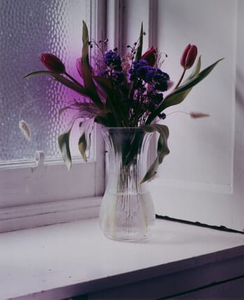 Chromogenic print by Emile Kees