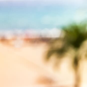 Palm trees beach - Soft Costa Blanca  01 by Bruno Houdayer