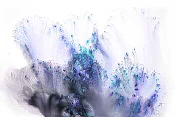  Snoqualmie Falls von Muriel Napoli