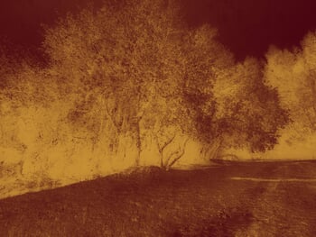 Echoes in Gold IV by Viet Ha Tran