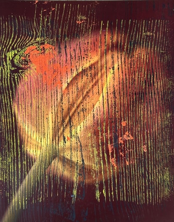 Flower XI by Beatrice Wolff