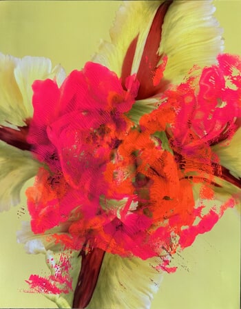 Flower I von Beatrice Wolff