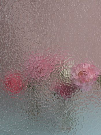 ROSES IN VASES 2 von Andrea Zvadova