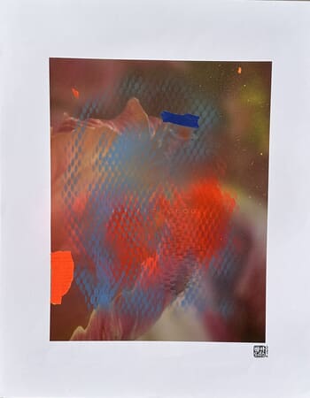 Flower XX par Beatrice Wolff