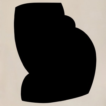 Forms 21 par Anna Pepe