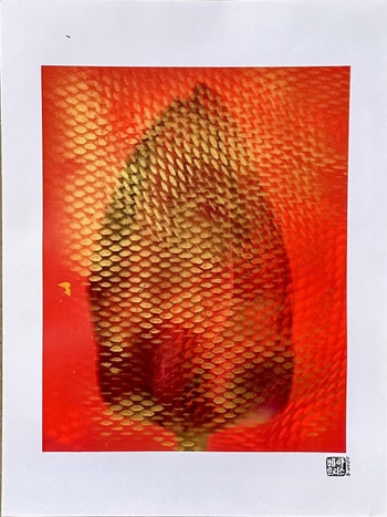 Flower XVI par Beatrice Wolff