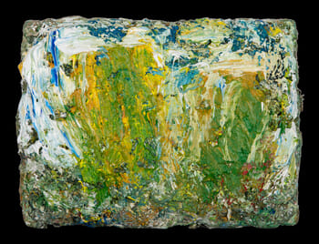 Trees on Dartmoor von Richard Cook