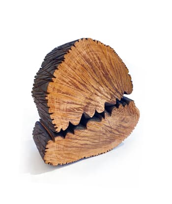 Cœur brûlé by Olivia de Saint-Luc