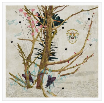 The Bee Eaters par Steve Moors