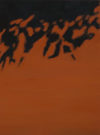 Ombres 5 von Catherine Goursolas
