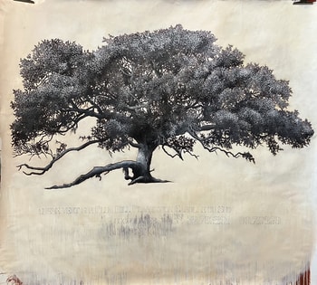 Portrait du chêne vert du film Forrest Gump by Cyrille Borgnet Dupont