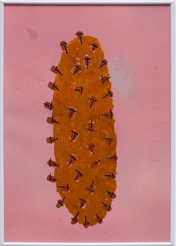 Oaxaca no. 17 by Verena Issel