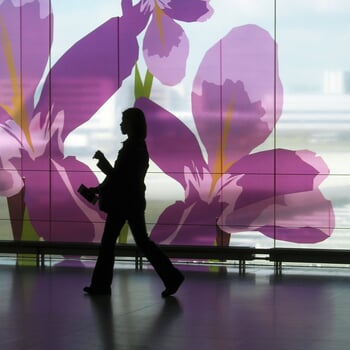 AeroFlower - A Traveling Garden von Bruno Houdayer