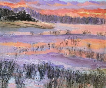 Sunrise And Grasses  by Nikki Wheeler