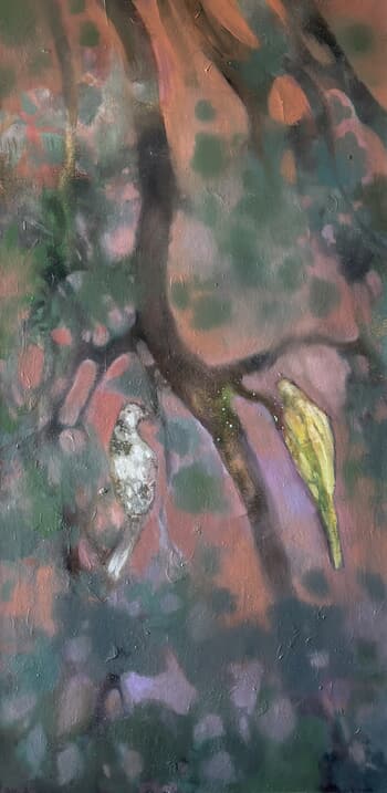 Oiseaux par Virginie Bastié