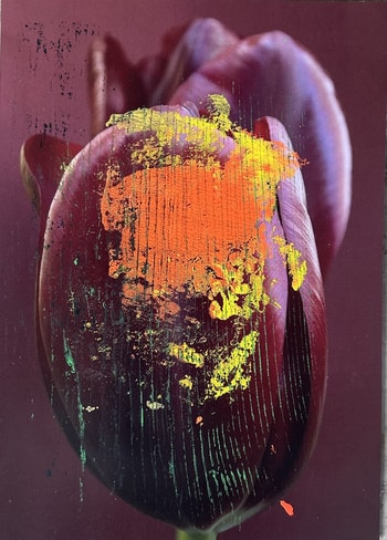 Flower IV von Beatrice Wolff