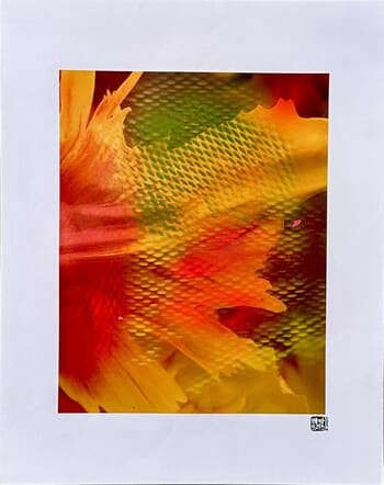 Flower XXII par Beatrice Wolff