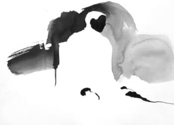 Noir et blanc by Sylvia Baldeva