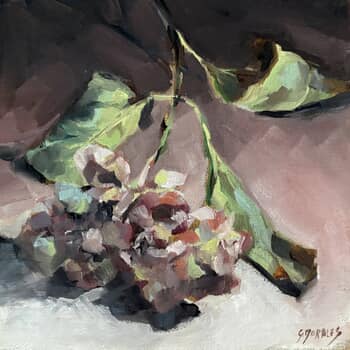 Hortensia fané 8 by Géraldine Morales