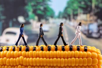 Cobbled Road by David Gilliver