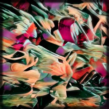 Flamboyance von Reed Hearne