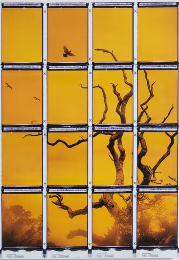 Doggerland 1 by Mark Tamer