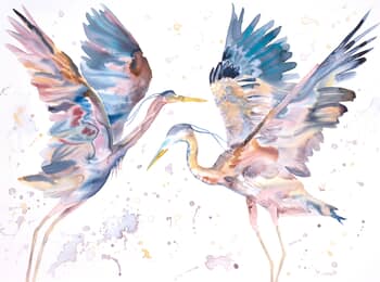 Herons in Flight No. 9 von Elizabeth Becker