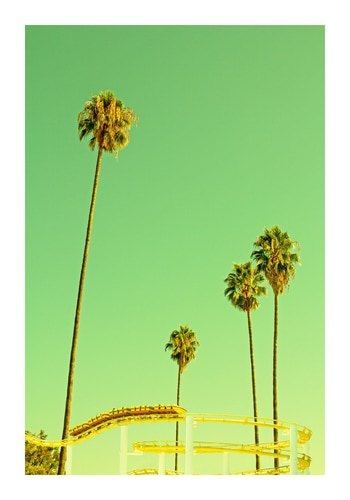 Roller Coaster & Palms by Rita Minichiello