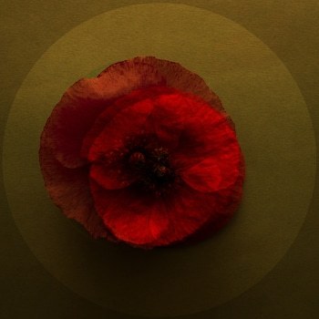 Mes Coeurs -05 par Emilie Moysson