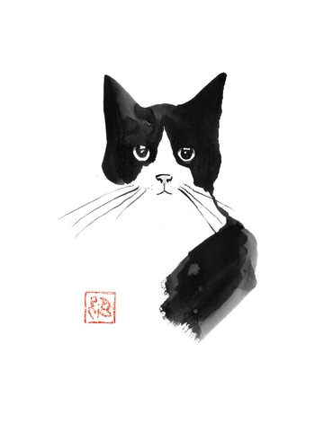 Calm cat by Péchane