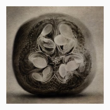 Still life #2 von Sovann Kim