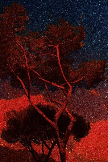Pin parasol sous les étoiles rouges  by Rodolphe Martinez