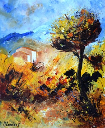 Summer in Provence  by Pol Ledent