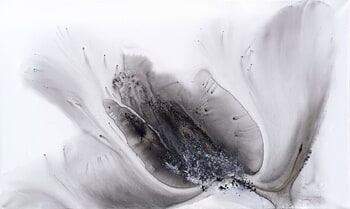 Nature 575 by Muriel Napoli