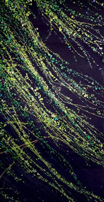 Luminescence par Sophie Cantou