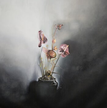 ANTHURIUM by Stefano Mazzolini