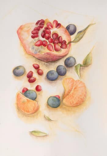 Pomegranate still-life by Sarah Goldbart