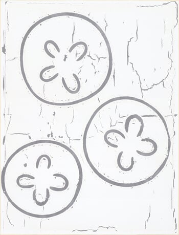 #592 Moon Jellies von Johan Soderstrom