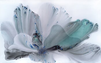 Nature 584 von Muriel Napoli
