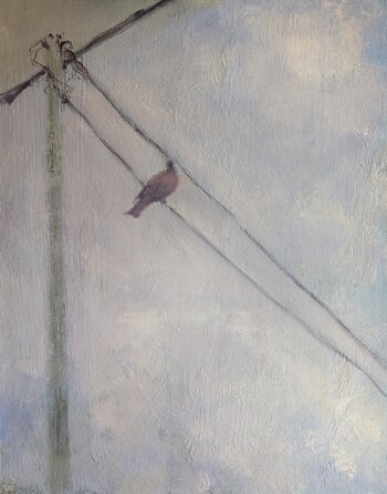 High wire by Rosemary Burn