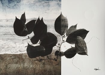 Paolina- Mixed Media on Photography von Jérôme Pergolesi
