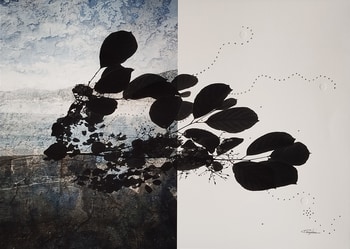 Iris - Mixed Media on Photography von Jérôme Pergolesi