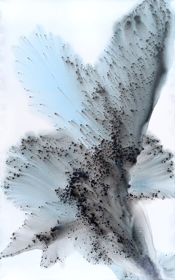 Nature 588 von Muriel Napoli