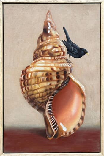 Temporary Accommodation IV von Joshua Daniels