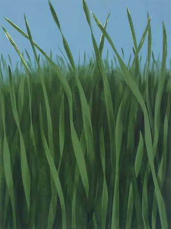 Tall Grasses par Michael Pfleghaar