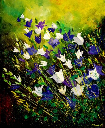 Campanulas  von Pol Ledent