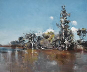 Creek, Gippsland by Nick Offer