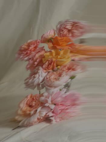 ENGLISH ROSES X by Andrea Zvadova