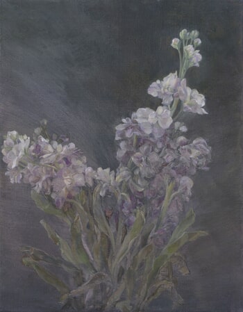 Matthiola Incana by Eun Lee